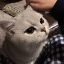 望天本尊的个人资料头像