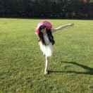 丽丽爱学习的个人资料头像