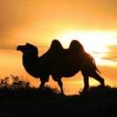 行者同学77889的个人资料头像