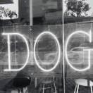 Dick涵的个人资料头像