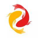 Mason辉的个人资料头像