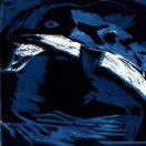 段定龙的个人资料头像