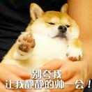 csw陈的个人资料头像