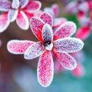 fdssdcv的个人资料头像