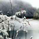 倪良锁的个人资料头像