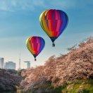 caihong重名了的个人资料头像