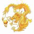 游龙在掘金的个人资料头像