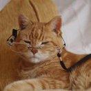 江苇的个人资料头像