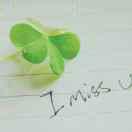 一棵气质草的个人资料头像