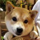 Aladdinlee的个人资料头像