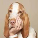 78151的个人资料头像