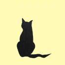 阿卜次德额的个人资料头像