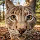 mhyang的个人资料头像