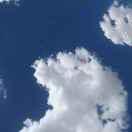 简单爱的个人资料头像