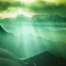 就是我78196的个人资料头像