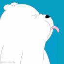 小七78251的个人资料头像