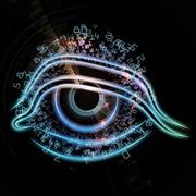 向南飞的鱼的个人资料头像