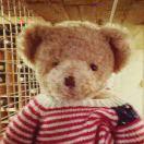 susu酱的个人资料头像