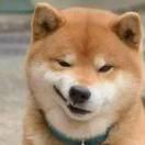 Slash爱学习78338的个人资料头像