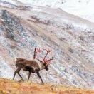 小黄拖拉机的个人资料头像