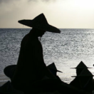 墨菲的个人资料头像