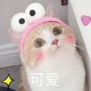 Lin琳的个人资料头像