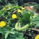 时光荏苒在掘金的个人资料头像