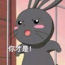 Sailormoon的个人资料头像