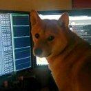 A桑的个人资料头像