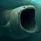 廖柯的个人资料头像