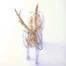 那么笨的个人资料头像