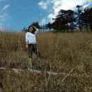 张敏的个人资料头像