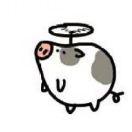 JerryBean的个人资料头像