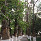 吴俊爱学习的个人资料头像