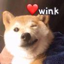 YAnho的个人资料头像