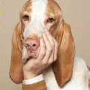 付静子的个人资料头像