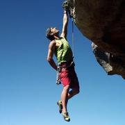 WolfZR的个人资料头像