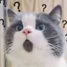 巴黎夜雨的个人资料头像