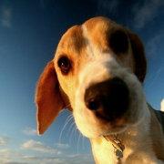 三木公a的个人资料头像