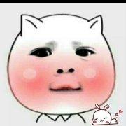 我家有胖砸的个人资料头像