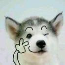 大期许的个人资料头像