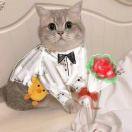 Jaymes的个人资料头像