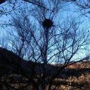 奔向火星的个人资料头像