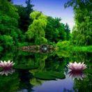 沁霖的个人资料头像