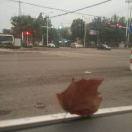 kkmms的个人资料头像