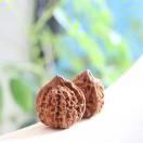 fine不想说话78949的个人资料头像
