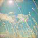 悦雨的个人资料头像