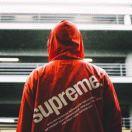 凌云就是我的个人资料头像