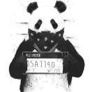 121同志的个人资料头像