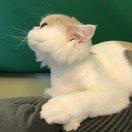 如你来时的个人资料头像